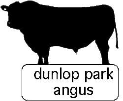 Dunlop Park Angus Stud